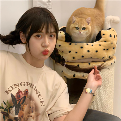 西藏伴游女生星晓莉的资料